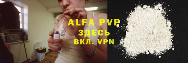 spice Верея