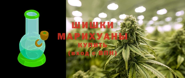 spice Верея