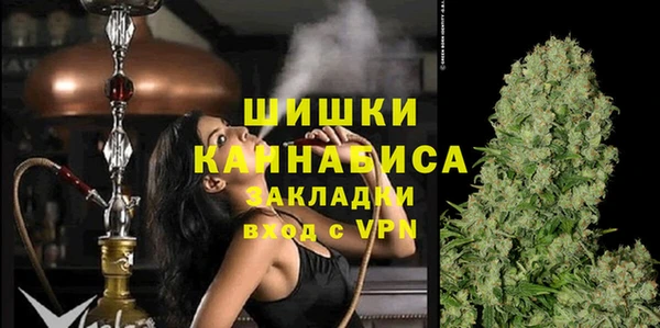 гашик Бородино